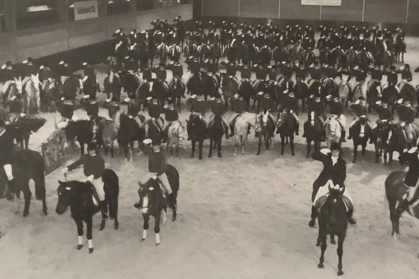 2020 02 20 manege luxool 1