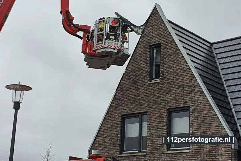 2020 02 23 dakleer los