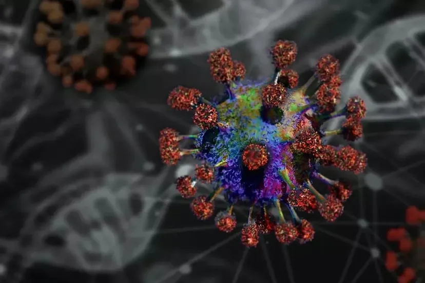 2020 03 04 coronavirus 4885735 960 720