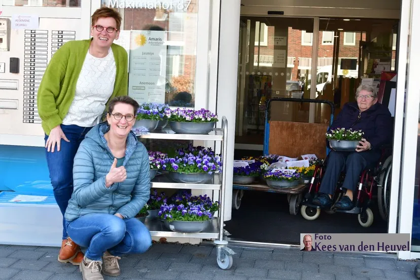 2020 03 27 viooltjes 27 3 hoofdfoto