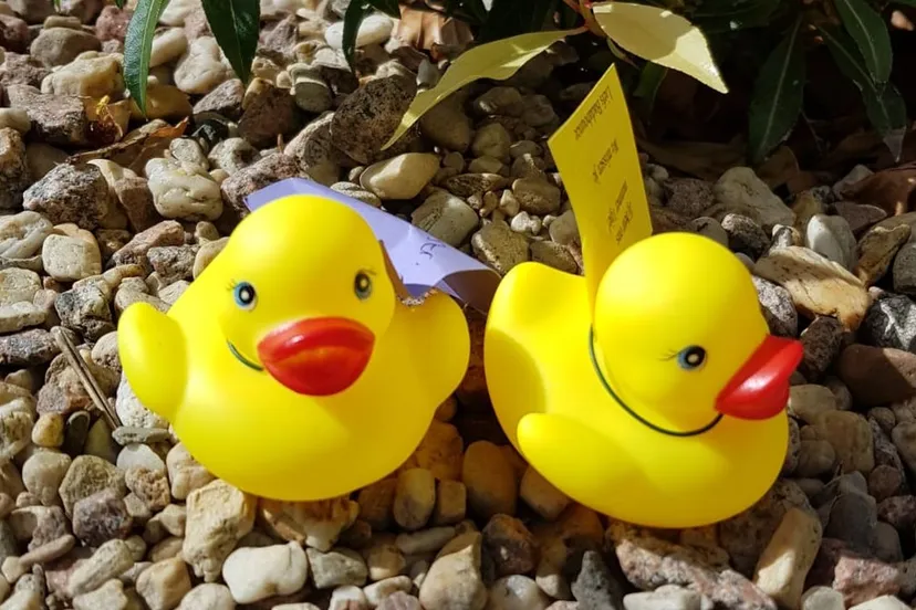 2020 04 18 badabounce badeend 1