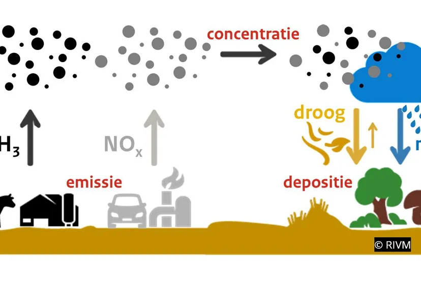 2020 06 07 stikstof 01