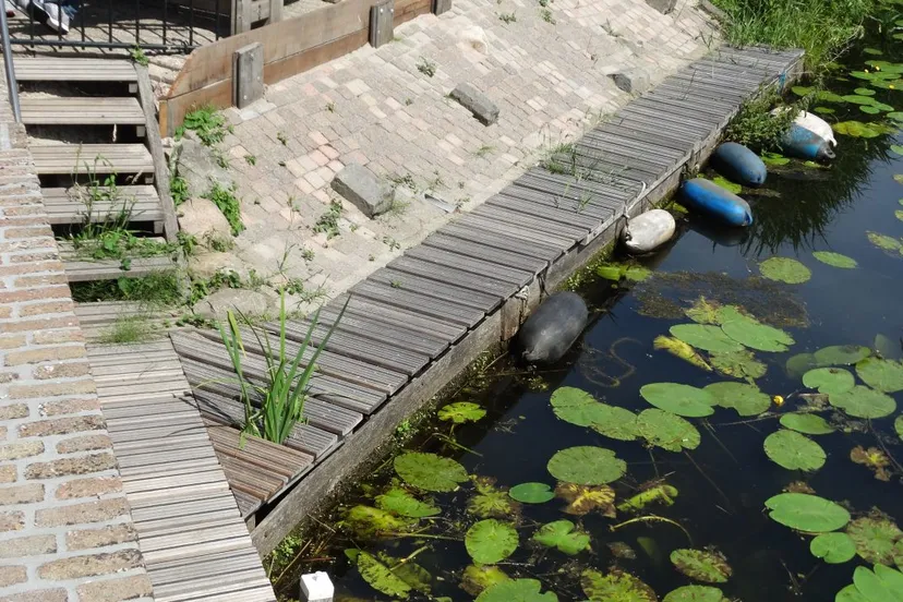 2020 06 21 stoomgemaal 1