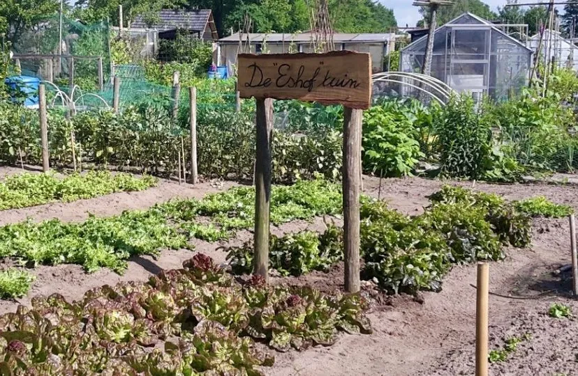 2020 06 25 eshoftuin