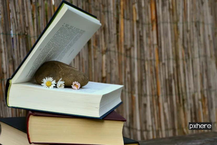 2020 07 09 boeken writing table read wood relax shelf 1233298 pxhere