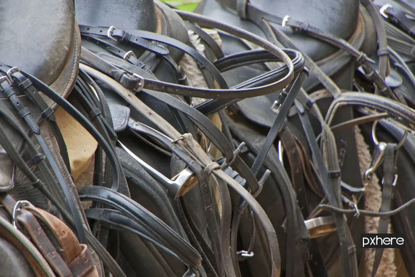 2020 08 09 zadels wheel wire horse metal ride tire 679855 pxhere