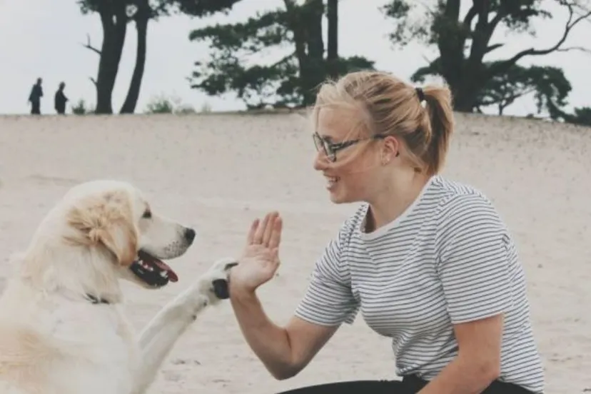 2020 08 12 milo romy