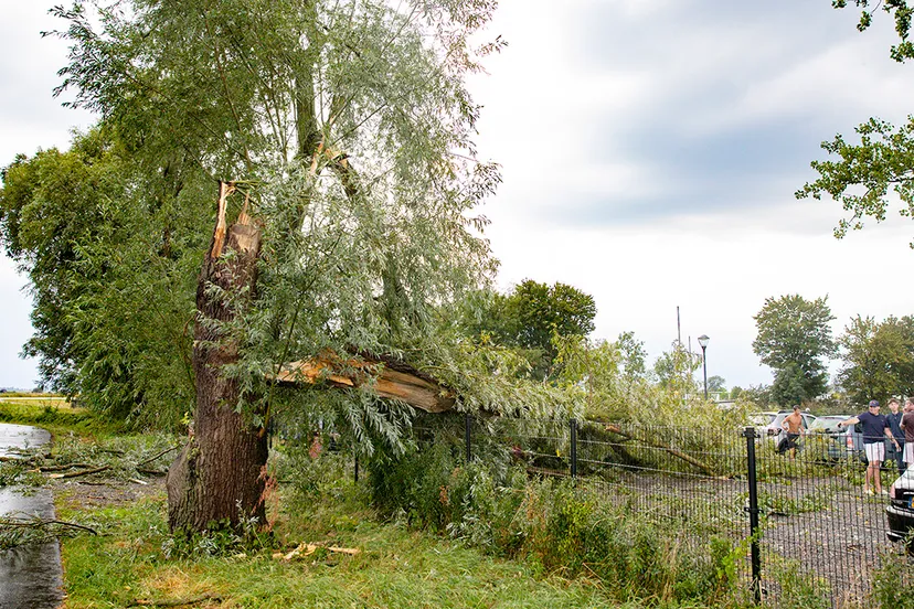 2020 08 16 bad hulckesteijn omgewaaide boom 06