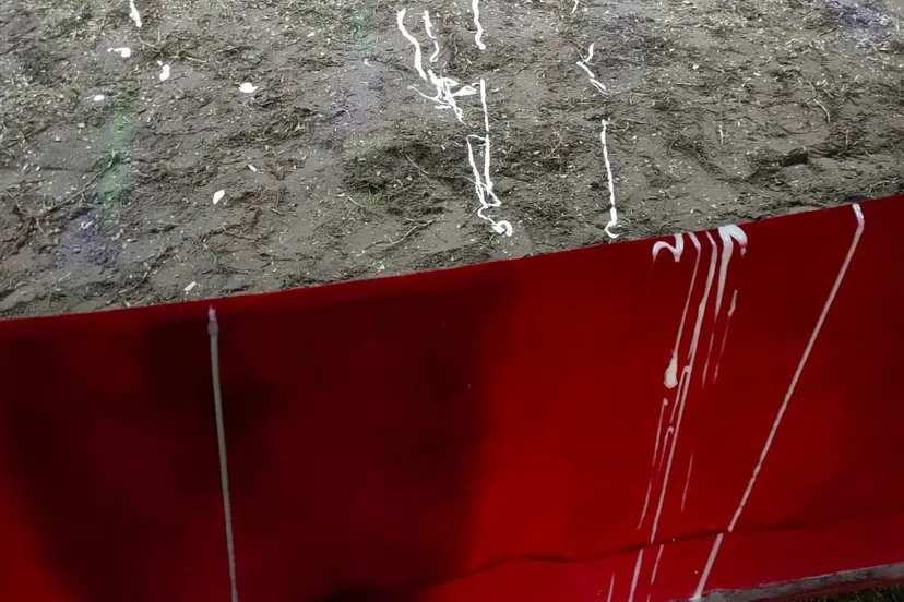 2020 10 03 curcus barani 1