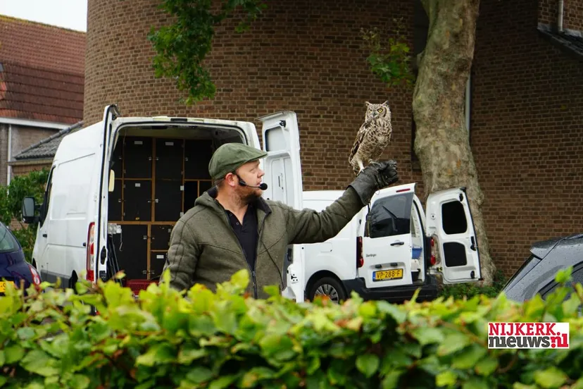 2020 10 03 settels roofvogels st jozef dsc08511