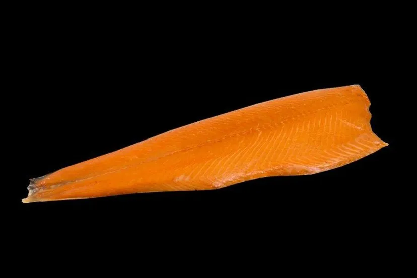 2020 10 17 zalmzijde warm gerookt naturel