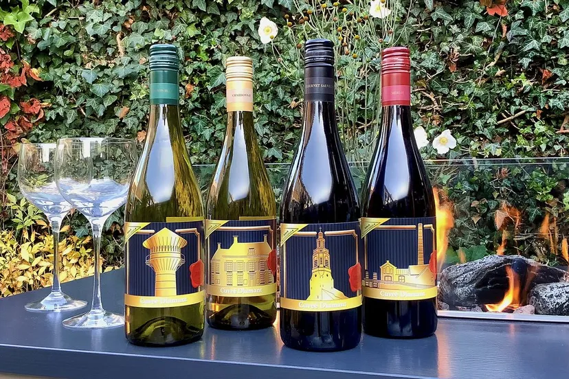 2020 11 01 lions skyline haard