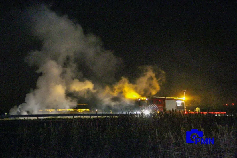 2020 11 07 autobrand