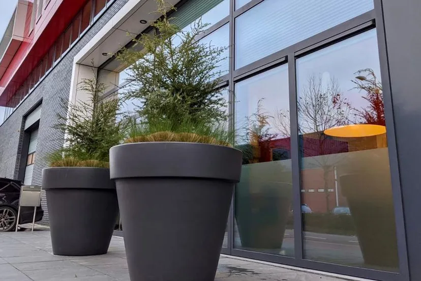 2020 12 02 kertsboom 16 9