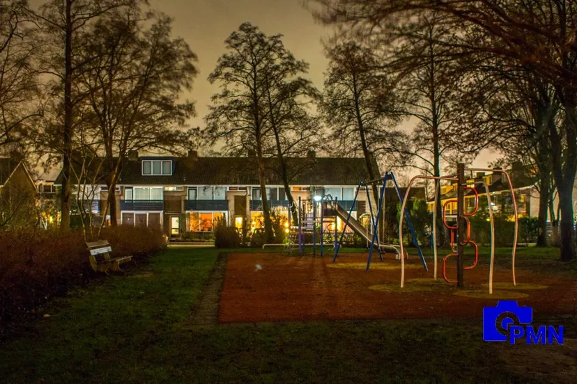 2021 01 19 paas bos strijland avond 2