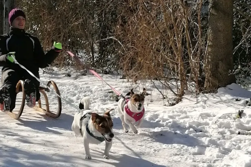 2021 02 15 marieke vn soest