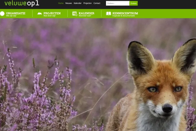 2021 02 17 veluwe op 1