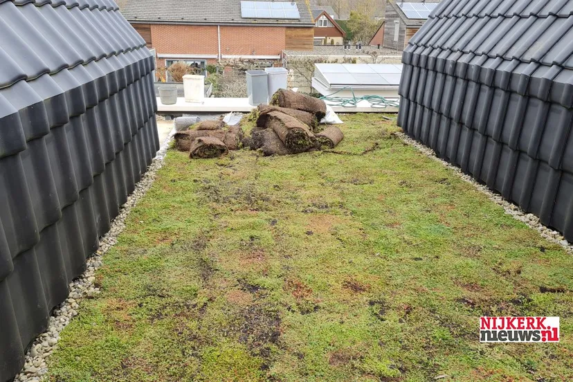 2021 02 22 groen op dak gras 03