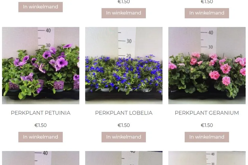 2021 05 07 irmas missie