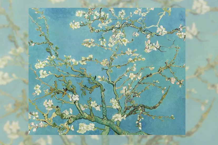 2021 05 08 amandelbloesem