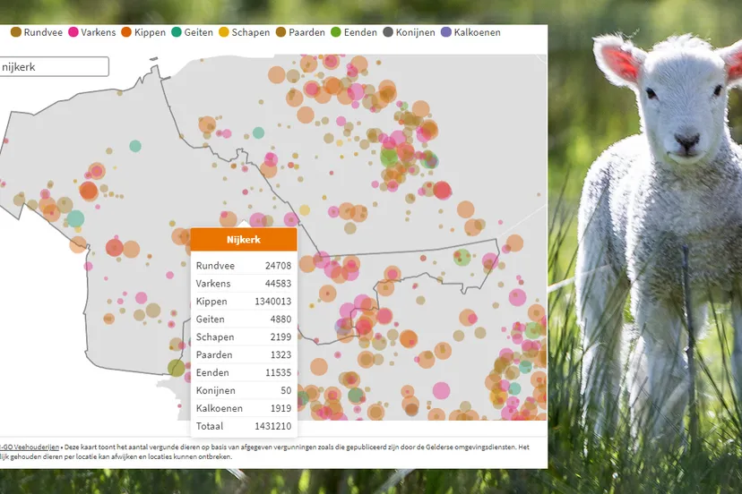 2021 05 13 intensieve veehouderij