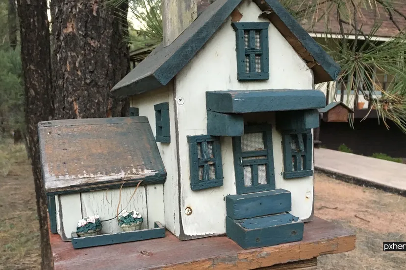 2021 05 18 premantelzorgwoningwood house home hut shack cottage 193750 pxhere