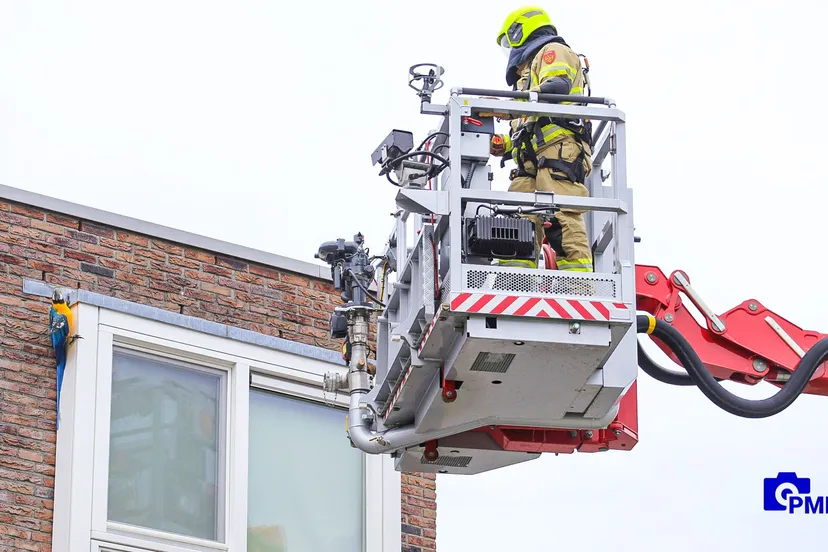 2021 08 03 papegaai 1