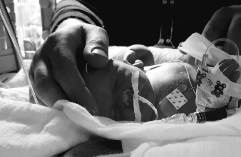 2021 08 10 header over the rainbow for maud