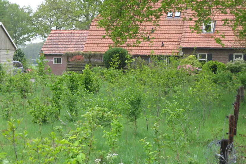 2021 10 15 aangeplant vogelbosje