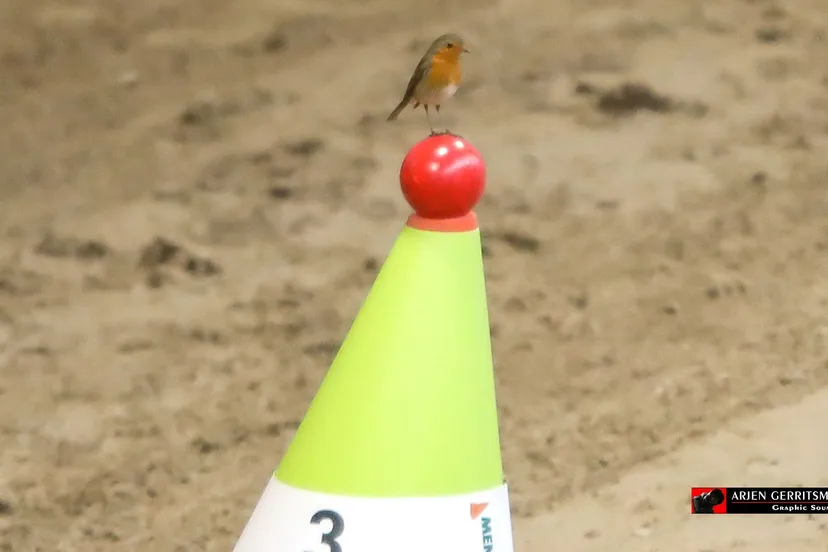 2021 11 04 kika menindoor 03