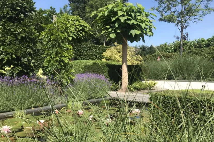 2021 11 11 satter kiewiet 7