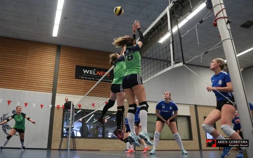 2021 11 12 surf 21 915x518 1