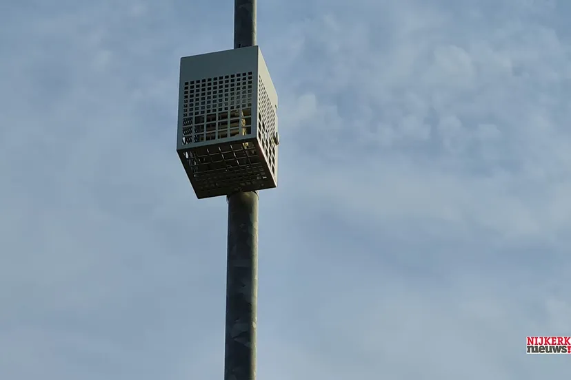 2022 01 03 mosquito aan paal paasbos001