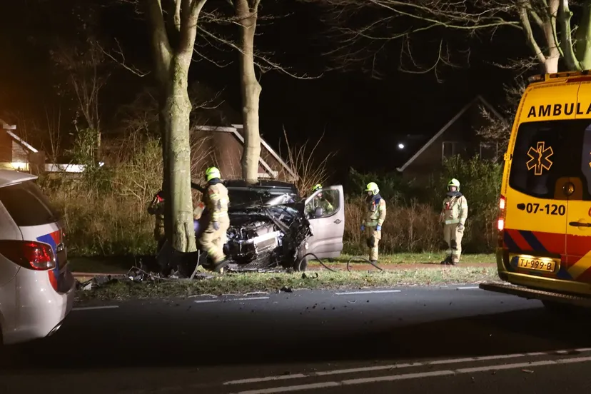 2022 03 11 auto tegen boom