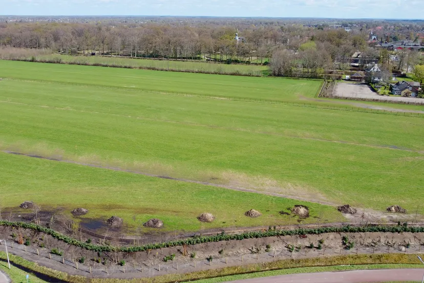 2022 04 10 wal hoevelakense bos 6