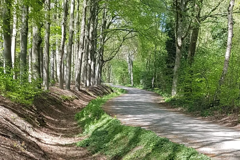 2022 05 12 droge sloot waterschap