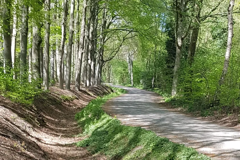 2022 05 12 droge sloot waterschap