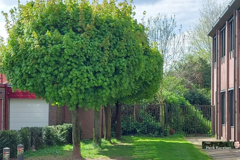 2022 05 2 stadshaven bezwaar 1