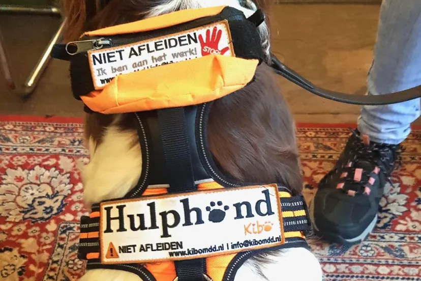 2022 05 23 hulphond 1