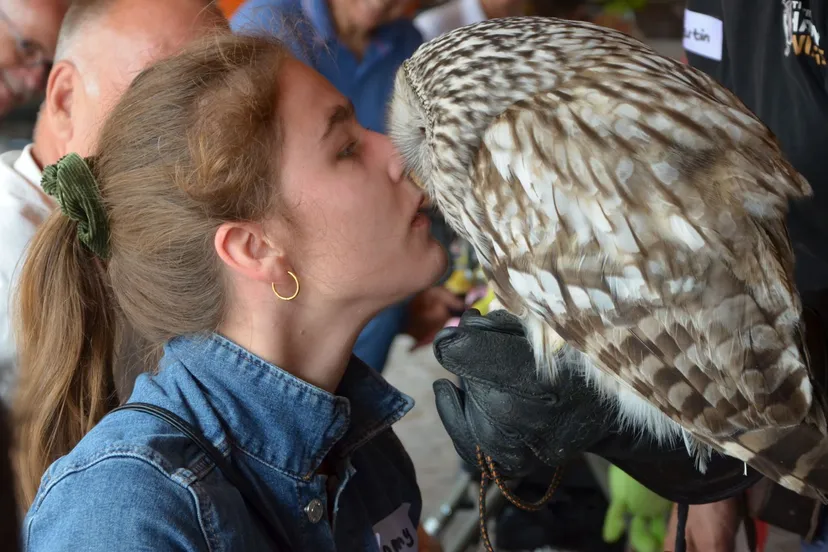 2022 06 27 hjello you 1