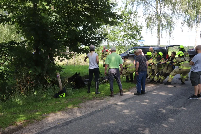 2022 06 28 paarden op hol