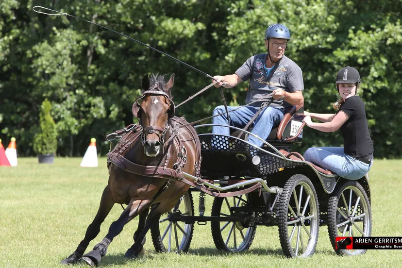 2022 07 02 dag van het aangespannen paard 06