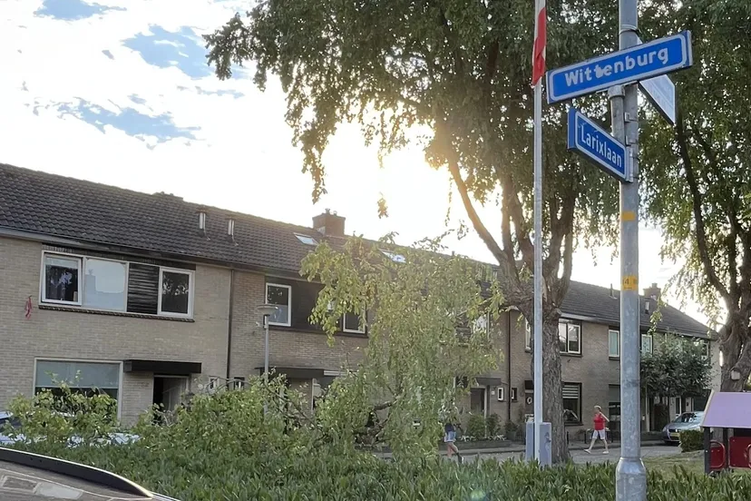 2022 08 24 boom aan de wittenburg 2