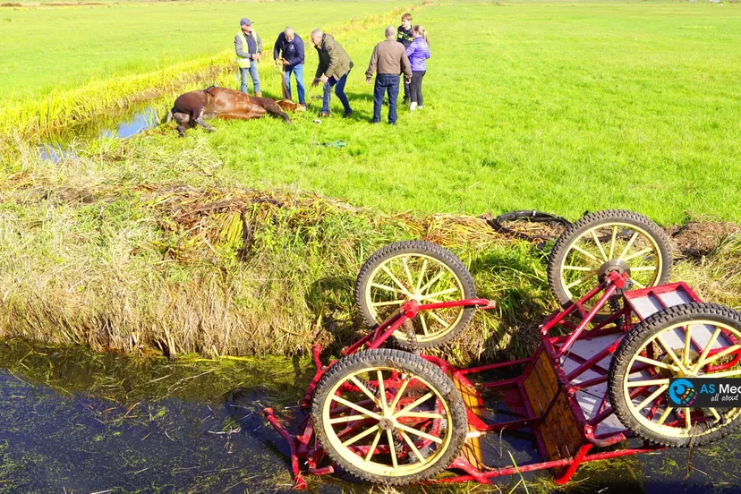 2022 10 12 paard en wagen te water 1