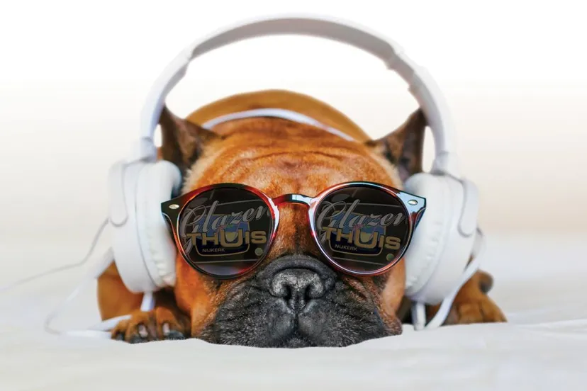 2022 11 06 hond glazen thuis