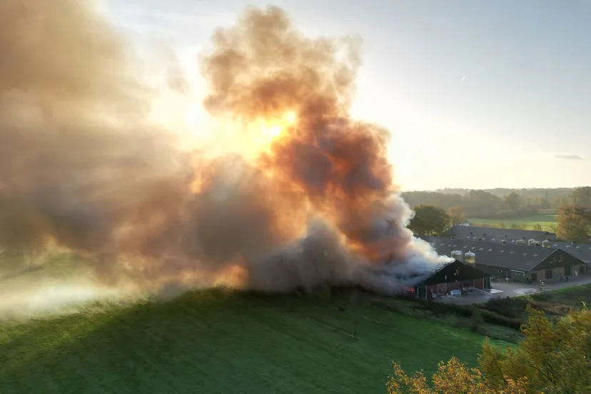 2022 11 10 kippenschuur brand