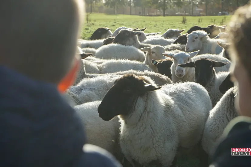 2022 11 25 rschapen uitzwaaien 03