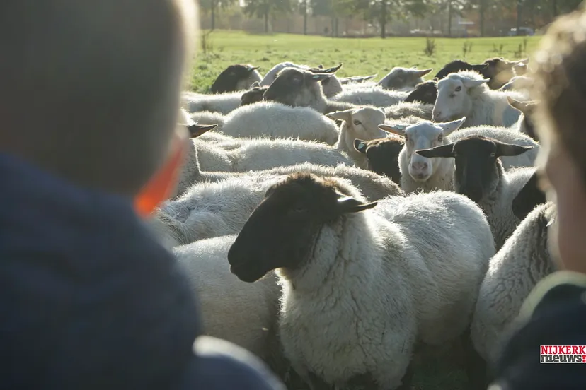 2022 11 25 rschapen uitzwaaien 03