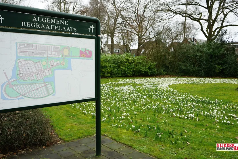 2023 03 13 satter hoveniersbedrijf 1 1