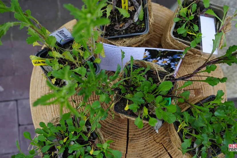 2023 05 04 klimaatkamer 6